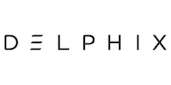 Delphix Partners